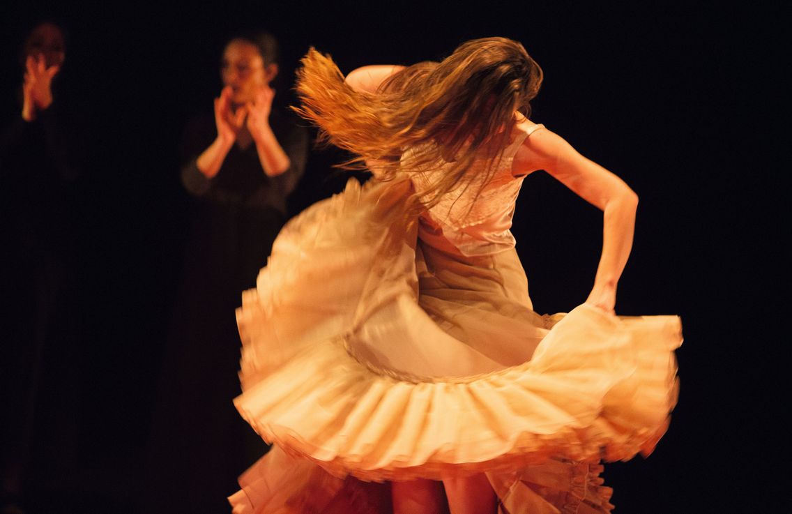 photo flamenco à la villette