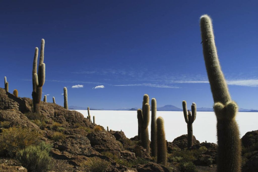 Le Salar d'Uyuni