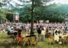 scène du festival django reinhardt à Fontainebleau