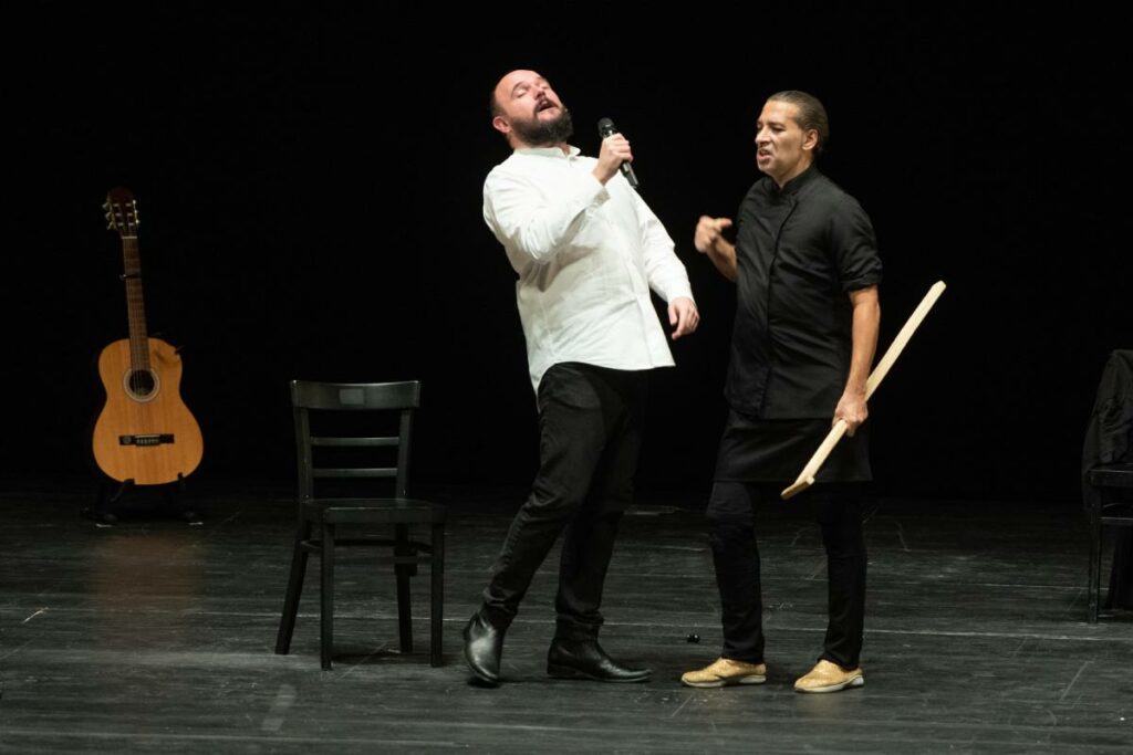 Spectacle Mellizo Doble d'Israel Galván et Niño de Elche