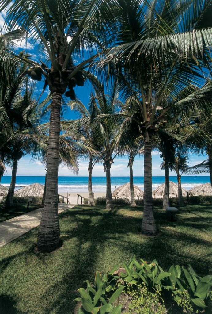 Plage de Mancora, Pérou