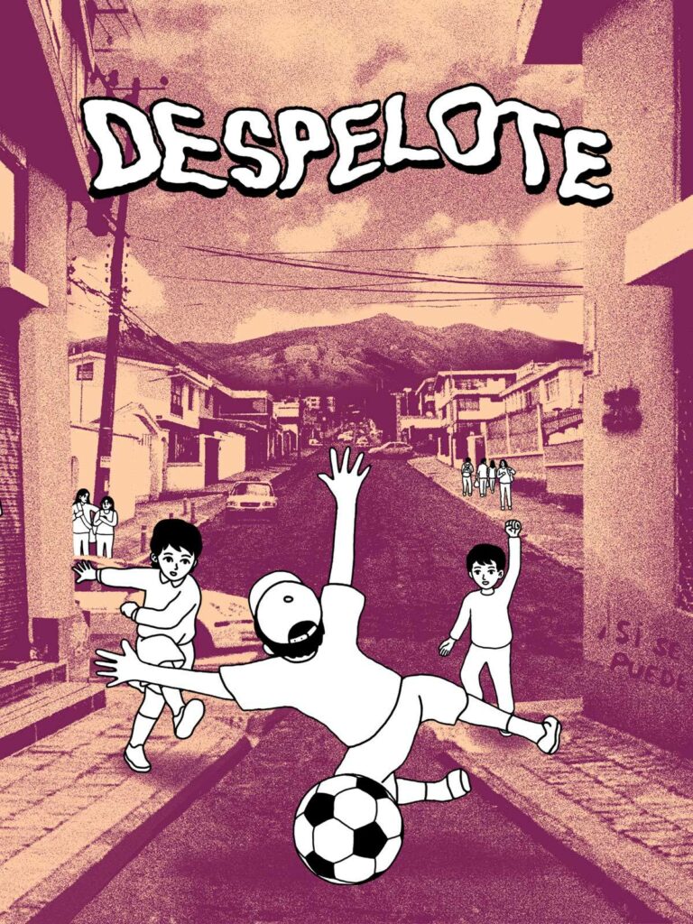 Image du jeu Despelote 