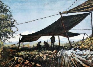 Fernando Aceves Humana Excavación en Atzompa
