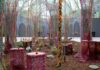 Vue de l’installation Nosso Barco Tambor Terra, Ernesto Neto