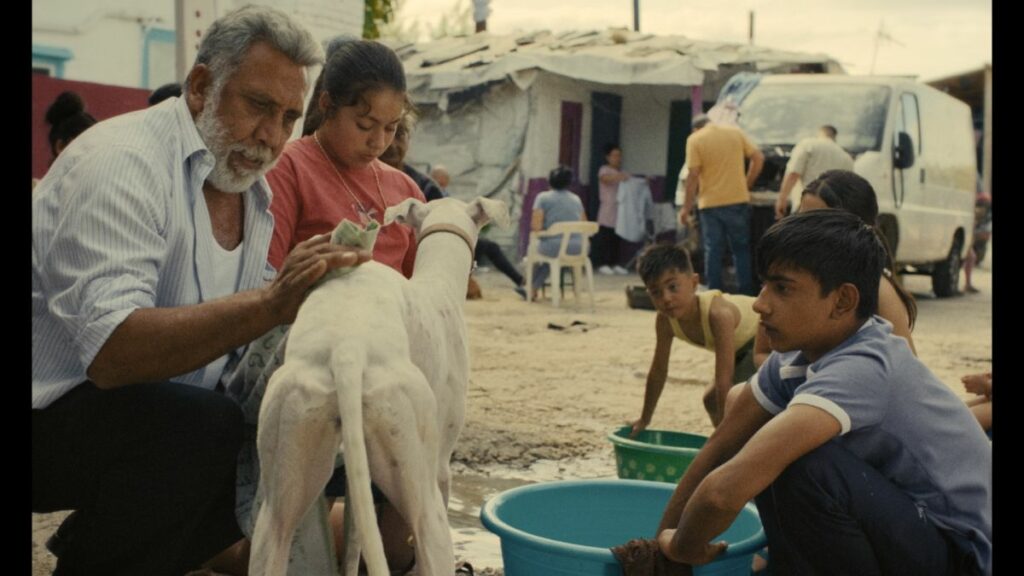 Image du film Ciudad sin sueño 