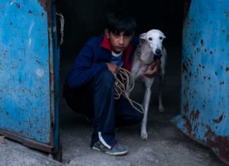 Image du film Ciudad sin sueño