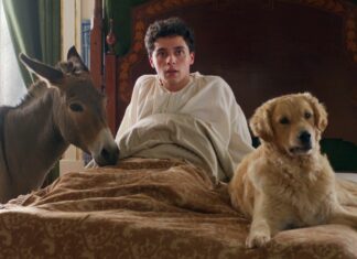 Image du film L'arbre de la connaissance