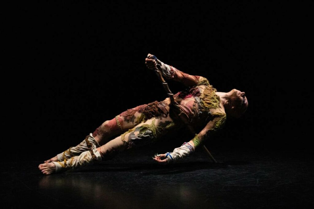 spectacle Último Helecho de Nina Laisné