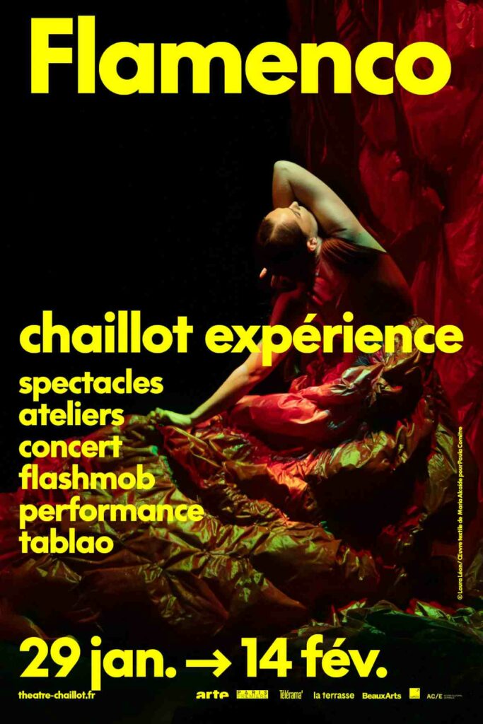 Affiche Biennale Flamenco