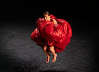 Image de Paula Comitre