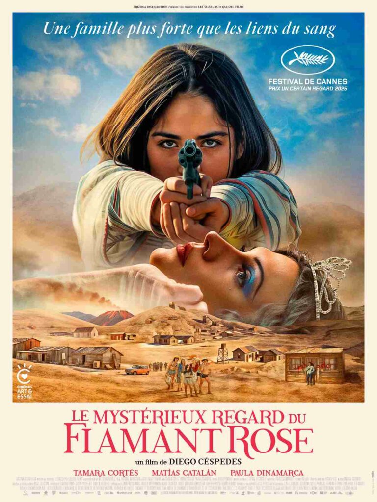 Affiche du film Le mystérieux regard du flamant rose