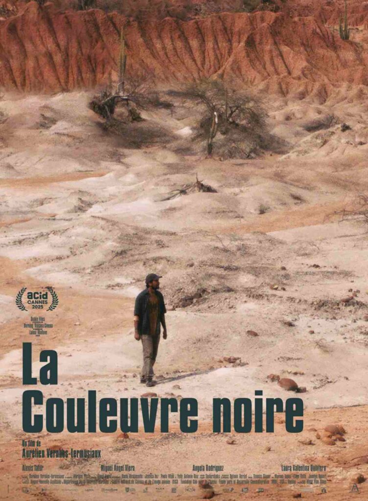 Affiche du film La Couleuvre noire