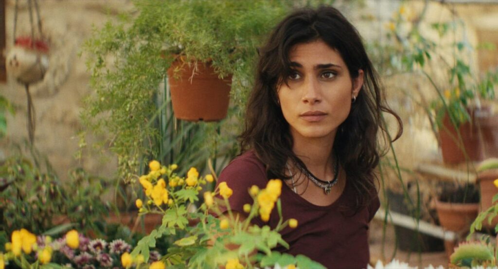Image du film Le chant des oliviers